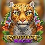 Rainforest Magic